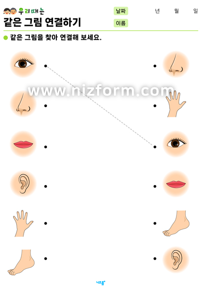 같은그림연결하기(신체) 미리보기