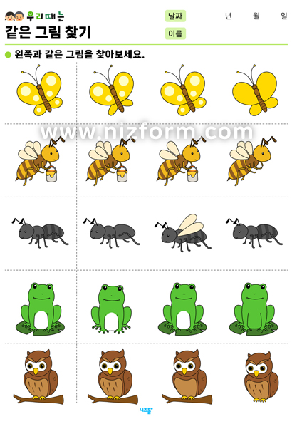 같은그림찾기(동물/곤충) 미리보기