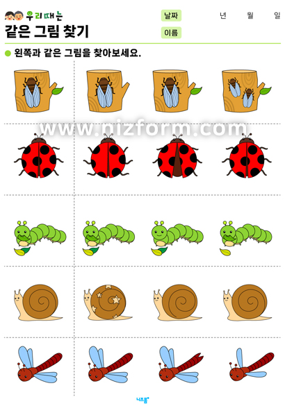 같은그림찾기(동물/곤충) 미리보기