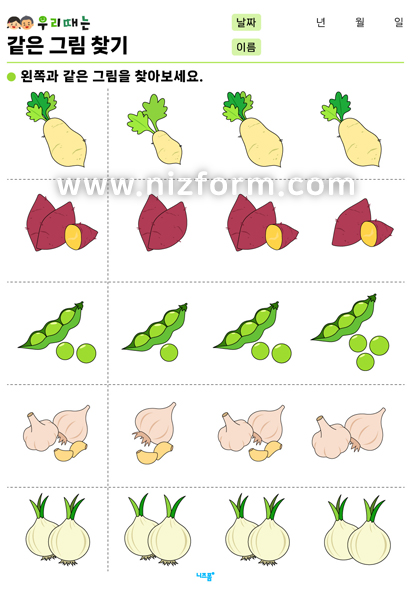 같은그림찾기(과일/채소/야채) 미리보기