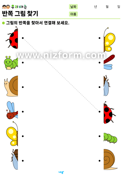 반쪽그림찾기(동물/곤충) 미리보기