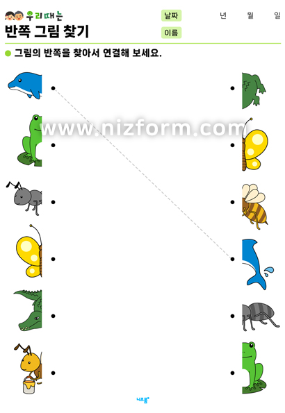 반쪽그림찾기(동물/곤충) 미리보기