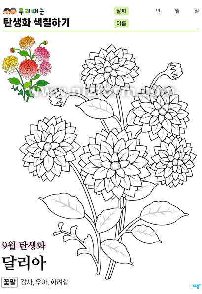 탄생화색칠하기(9월달리아) 미리보기