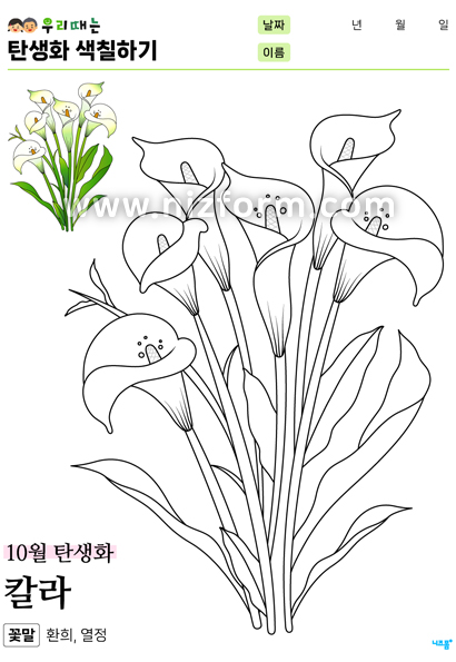 탄생화색칠하기(10월칼라) 미리보기