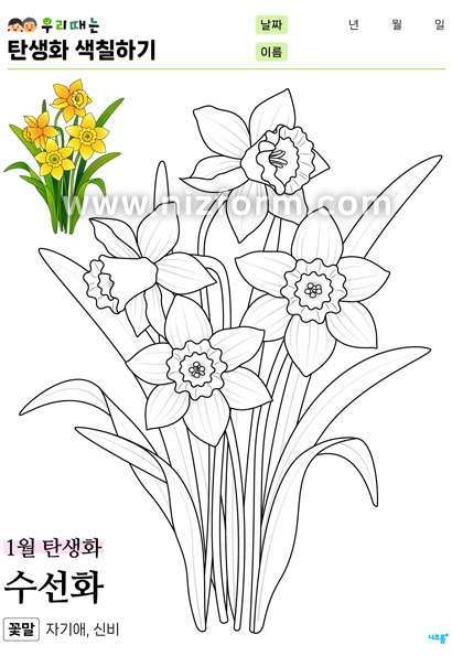 탄생화색칠하기(1월수선화) 미리보기