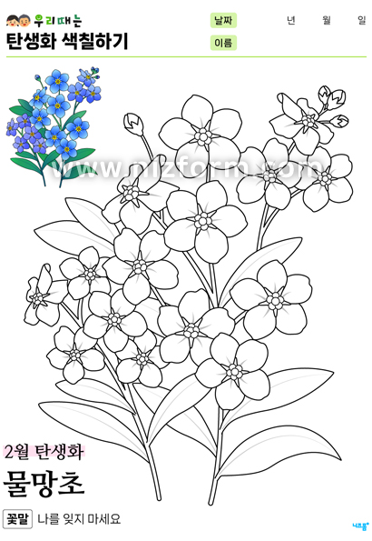 탄생화색칠하기(2월물망초) 미리보기